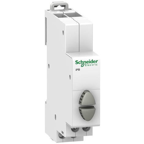 A9E18035 TLAČ. IBP DVOJITÉ 2ZAP ŠEDÉ 20A 250V