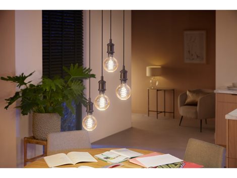 Hue WA LED Filament žárovka E27 G93 7W 550lm 2200-4500K IP20 7