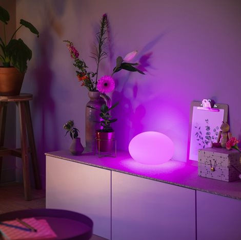 Flourish Hue stmívatelná lampa EU A60 WCA 8