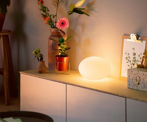 Flourish Hue stmívatelná lampa EU A60 WCA 6