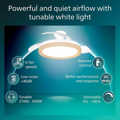 Bliss DC stropní ventilátor a svítidlo 28W+35W dřevo 4