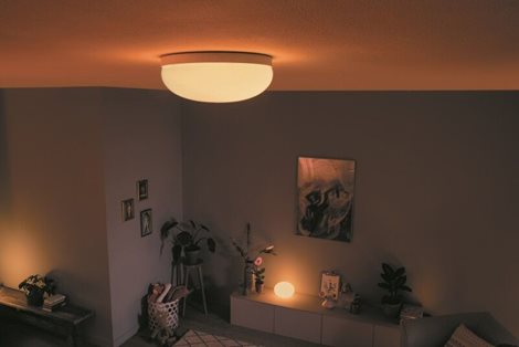 Hue WACA Flourish stropní LED svítidlo 1x32,5W 2250lm 2000-6500K RGB IP20 35,9cm bílá 29