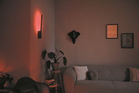 Hue WACA Liane nástěnné LED svítidlo 1x12,2W 850lm 2000-6500K RGB IP20 černá 14