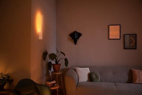 Hue WACA Liane nástěnné LED svítidlo 1x12,2W 850lm 2000-6500K RGB IP20 bílá 10