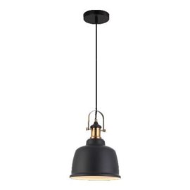 FAMOSA závěsné svítidlo 1x E27 40W bez zdroje 22,5cm IP20, matně černé/starožitná mosaz