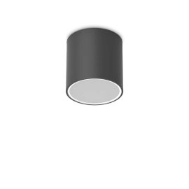 TECHO PL1 D15 stropní svítidlo, oválné, GU10 max 1 x 20W, IP54, černé