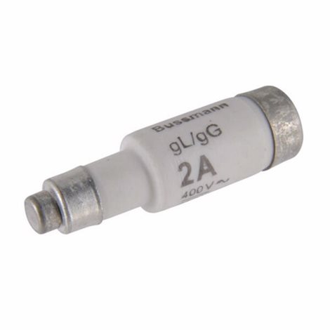 2NZ01 Pojistka T gG/gL 400V AC 2A D01/E14