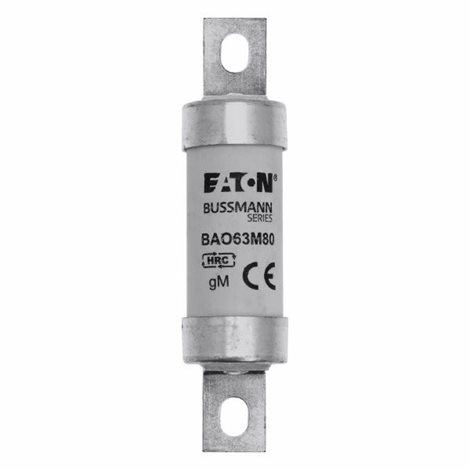 BAO63M100 Pojistka (norma BS88), 550V AC, 100A gM 2