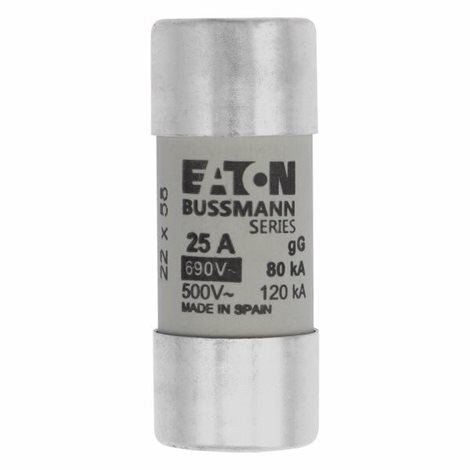 C22G25 Válcová pojistka GG 690V AC 25A C22(22,2x58mm)