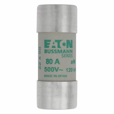 C22M80 Válcová pojistka AM 500V AC 80A C22(22,2x58mm)