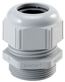 SKINTOP ST-M 32x1,5 RAL 7001 SGY