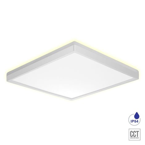 CORDIA stropní svítidlo LED 24W 2160lm 3000K-6000K 42cm, IP54 čtvercové, bílé