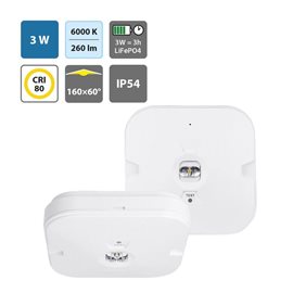 ML-461.003.68.0 LED nouzové svítidlo Superior C  13x13cm 3W 260lm 6000K IP54