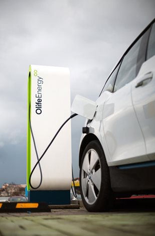 OLF Stojanová dobíjecí stanice AC 2x22kW CLOUD - 2x kabel, RFID, automód, OCPP, služby 4
