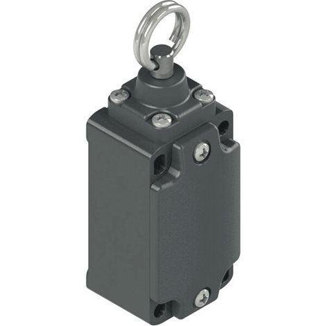 PZ-FD576 Koncový spínač FD576