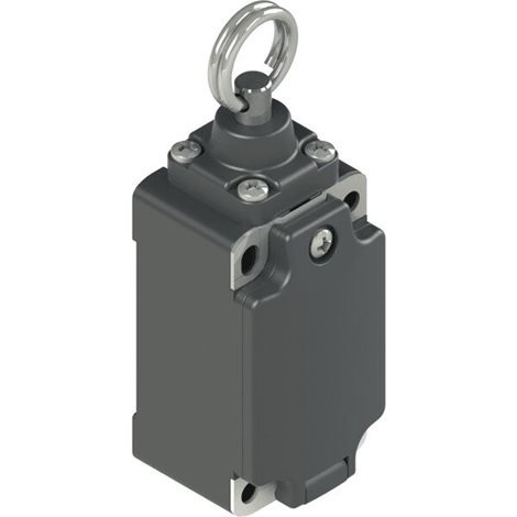 FP576-M2K17 Koncový spínač FP576, závit M20x1,5, příslušenství K17