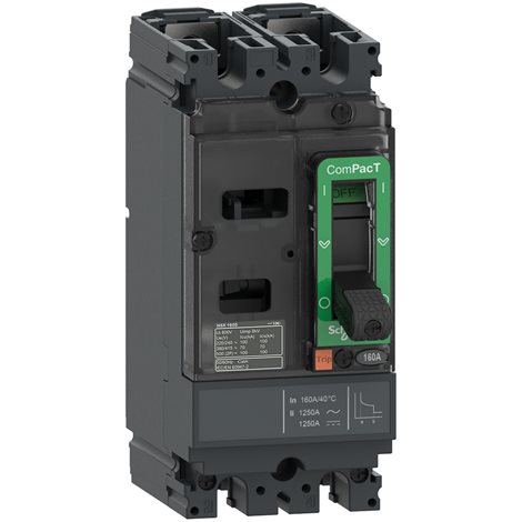 C10M2TM100 NSX100M 25kA AC-DC 2P 100A TMD