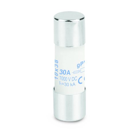 FUSE 10X38 30A 1000 VDC GPV S