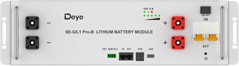 Nízkonapěťová Deye LiFePO4 baterie, 5.12kWh, 51.2 V, 100Ah 1