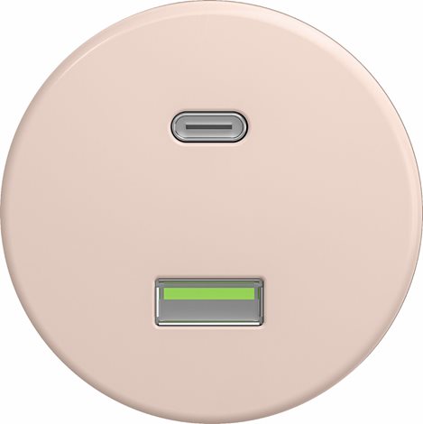 R/USB USB zásuvka A+C v barvě starorůžová 1