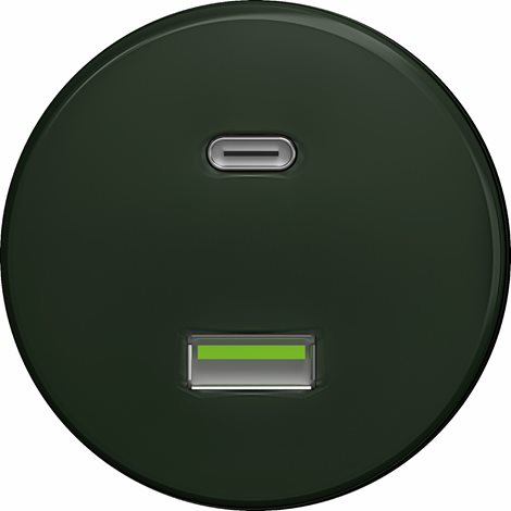 Z/USB USB zásuvka A+C v barvě kachlově zelená 1